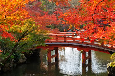 Fonds d'ecran Japon Jardins Automne Étang Ponts Kyoto Branche Nature télécharger photo