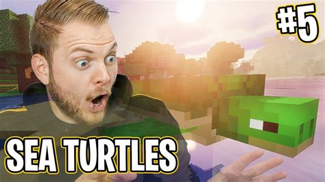 BREEDING SEA TURTLES!! - Minecraft Aquatic Adventure! #5 - YouTube