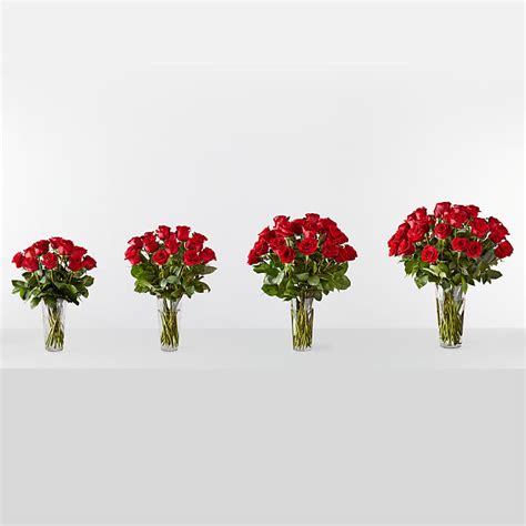 Long Stem Red Rose Bouquet