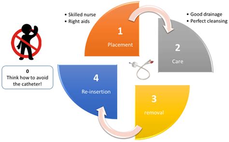 JCM | Free Full-Text | How to Prevent Catheter-Associated Urinary Tract ...