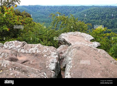 The Drachenfels, famous hiking mountain in the middle Palatinate Forest, Germany Stock Photo - Alamy