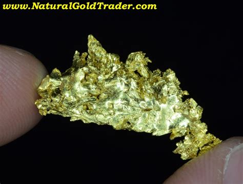 1.75 G. Round Mountain Nevada Gold Specimen