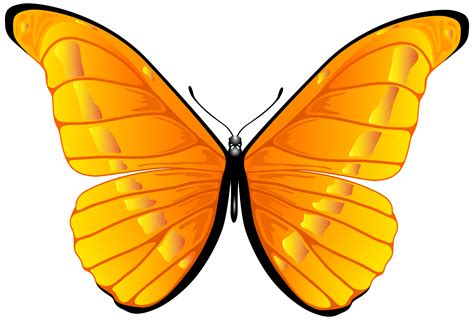 Transparent Butterfly Clipart | Free download on ClipArtMag