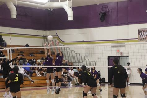 Volleyball team sets up promising season – The Bull's Eye