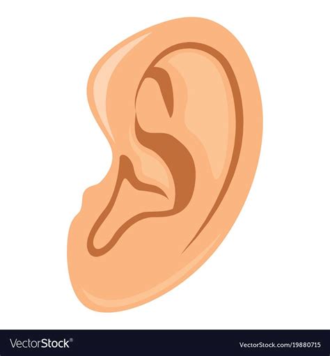 Ear Vector Illustration. Download a Free Preview or High Quality Adobe ...