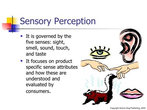 Examples of Sensory Perception | Memory, Learning & Perception | Memory ...