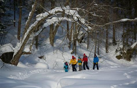 Guided Snowshoe Hike in Jacques-Cartier National Park, Quebec