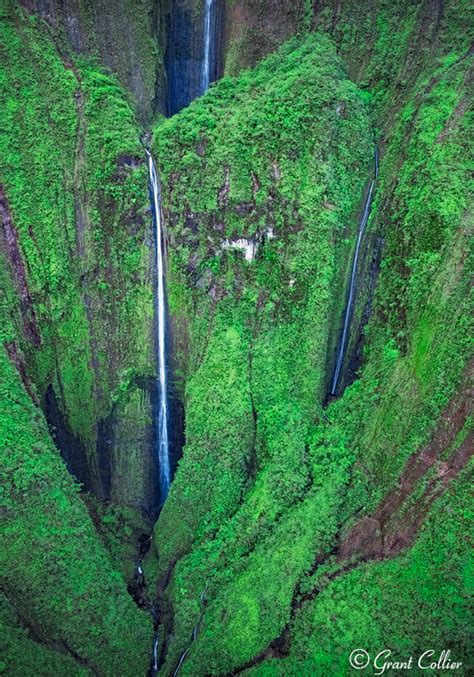 Honokohau Falls is the tallest waterfall in all of Maui