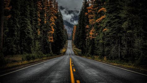 Road Between Trees With Long View Of Fog Covered Moutain 4K HD Nature Wallpapers | HD Wallpapers ...