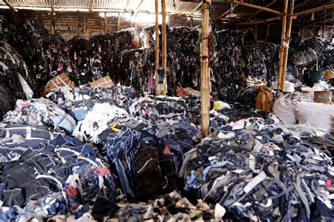 Study: Throwing your clothes away is more eco-friendly than renting them