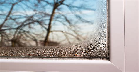 Ask Wet & Forget Eliminating Winter Window Condensation: A Homeowners ...