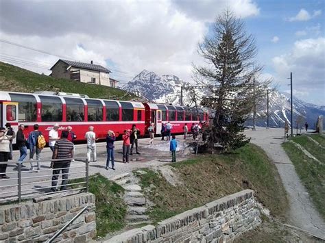 stunning scenery - Bernina Express, Chur Traveller Reviews - Tripadvisor