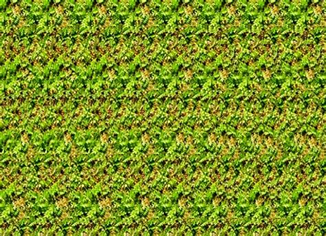 What hides this stereogram? | Brain Teasers (2266)