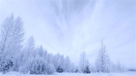 Download Nature White Snow Winter 4k Ultra HD Wallpaper