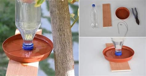 How to Make Hanging Bird Water Feeder | DIY Water Bottle Bird Feeder