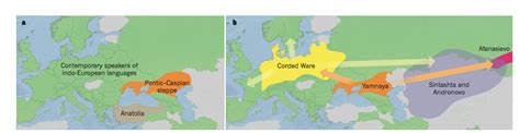 GW Human Evolutionary Genetics : Gene, Pots, and the Origins of the Indo-European Language Family