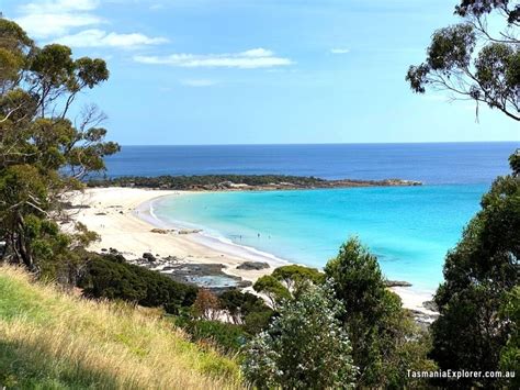 Boat Harbour Beach Tasmania: Road Trip Stop