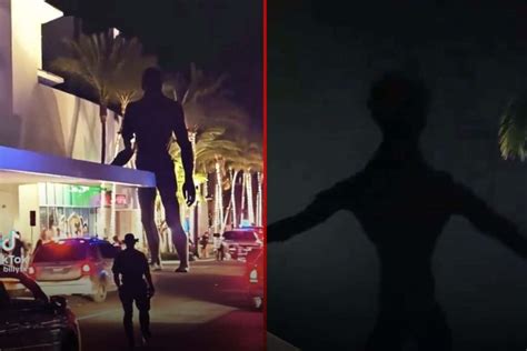 Miami mall alien sighting was a hoax, police confirm - Swisher Post