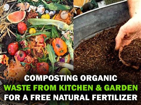 Composting Organic Waste from Kitchen and Garden for a Free Natural Fertilizer - ECEPL