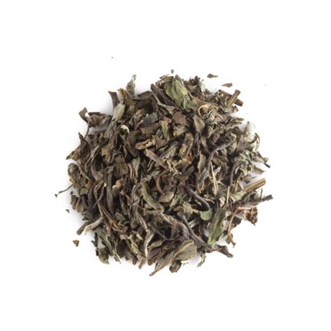 Mountain Mint Organic Green Tea | Storehouse Tea