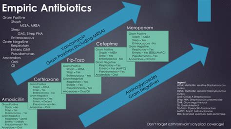 The Stairway to Antibiotic Heaven: A Scaffolded Video Series on Empiric Antibiotic Selection for ...