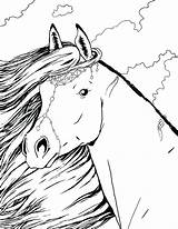 Horse Printable Coloring Sheets sketch template