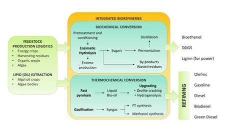 Towards a bio-based economy: the biorefinery concept - HBI Group