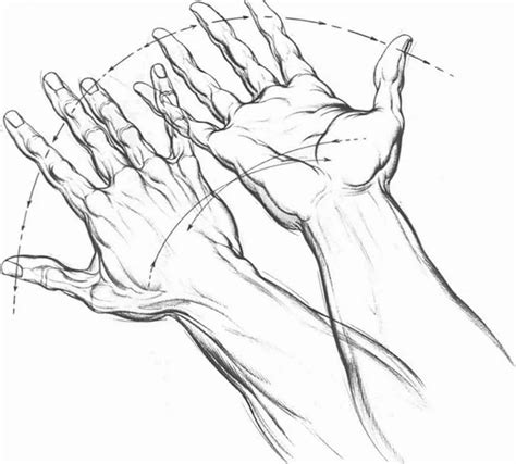 Outstretched Hand Drawing at GetDrawings | Free download