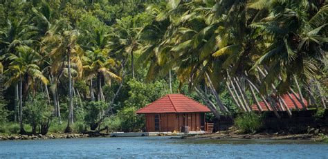 Things to do in Poovar Island - Activities to Do on Poovar Trip - Club Mahindra