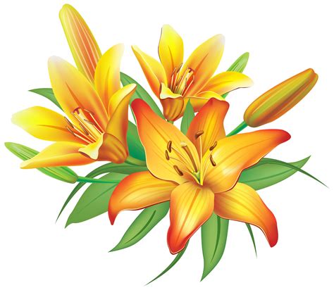 Yellow lily clipart - Clipground