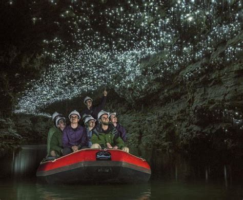 Things to do in Waitomo - Gloworm Caves, Black Water Rafting