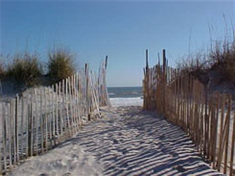 Sneads Ferry NC | Seafood, Fishing, Hiking and More | Wilmington NC Towns, Cities & Islands