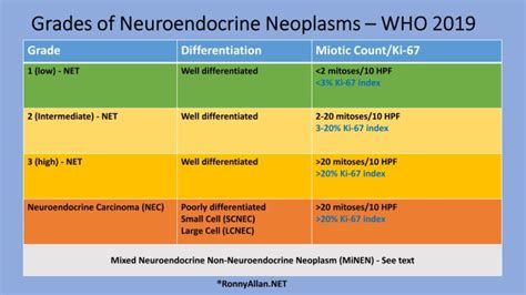 Neuroendocrine Neoplasms - Grade and Stage (incorporating WHO 2019 changes) - Ronny Allan ...