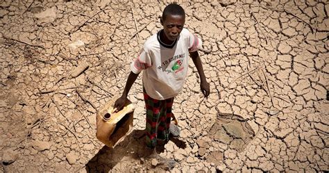 Reality of the worst drought since 1945 peaking in parts of Africa | Africanews