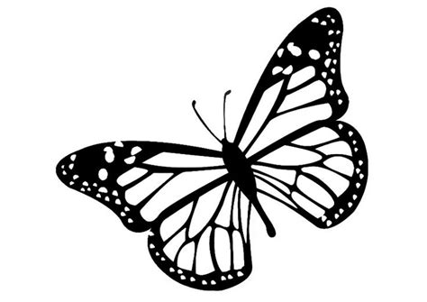 Monarch Butterfly Clip Art & Look At Clip Art Images - ClipartLook