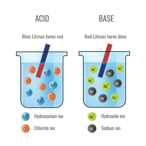 Litmus paper test of Acid and Base in Chemistry Laboratory 23452876 Vector Art at Vecteezy