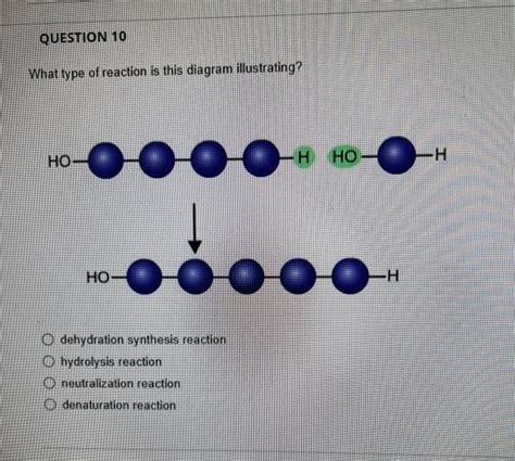 Solved What type of reaction is this diagram illustrating? | Chegg.com