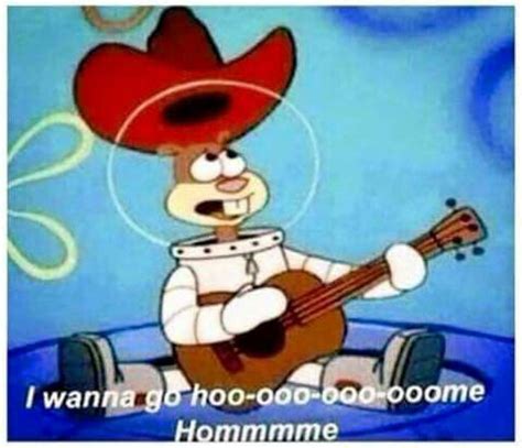 Home. Sandy Cheeks | Spongebob, Funny relatable memes, Funny pictures