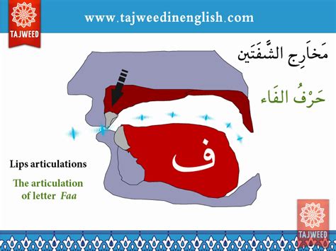 Video 3 | Makhraj al-Halq | Point of articulation of the throat