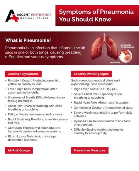 What Are The 4 Stages Of Pneumonia? | Blog