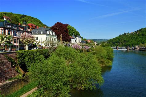 Heidelberg river Photograph by Stavros Machairas - Fine Art America