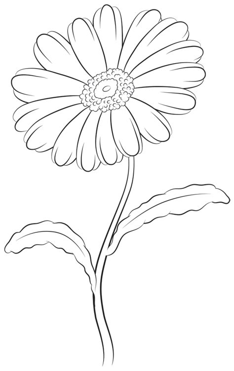 How to Draw a Daisy Step by Step | Daisy drawing, Flower drawing tumblr, Flower drawing