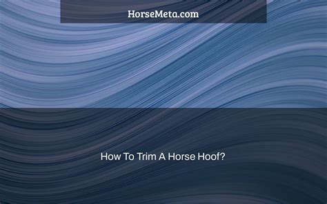 How To Trim A Horse Hoof? - Horse Meta