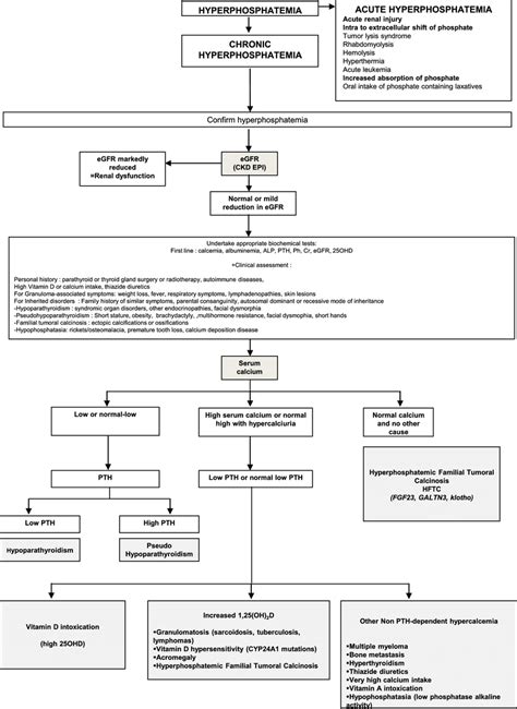 Step-by-step approach to investigation of hyperphosphatemia. ALP... | Download Scientific Diagram