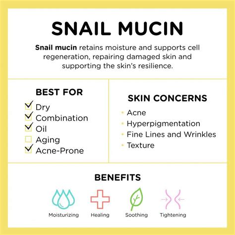 Ingredient 101: Snail Mucin | Face skin care, Skin care secrets, Skin care tips