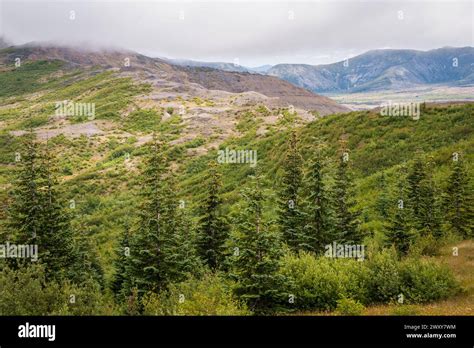 The Boundary Trail on a Hazy Day at Mount St. Helens, Stratovolcano in Skamania County ...