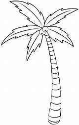 Palm Tree Printable Template  Free Papercraft Templates sketch template