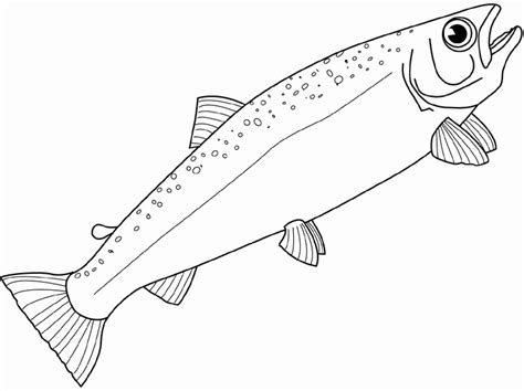 Salmon Drawing at GetDrawings | Free download