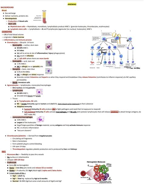 All About Anemia Chart Notes Hematology - Etsy