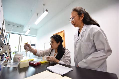 Chinese Academy of Sciences tops Nature index in high-quality research - Chinadaily.com.cn